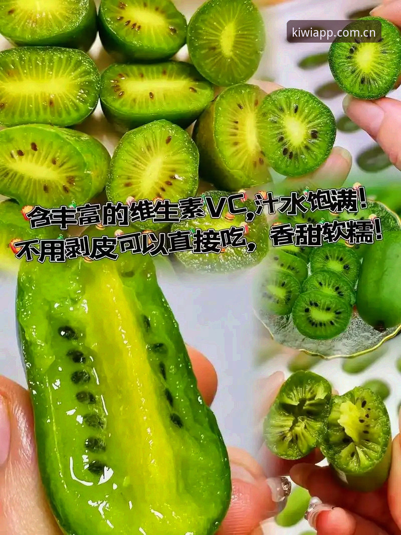 奇异果体育最新入口评测：CN版本功能详解与注册流程