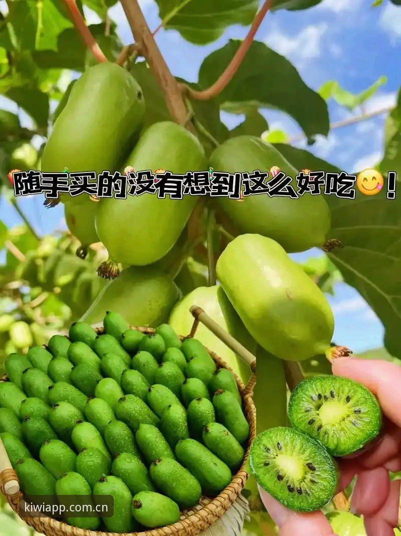 奇异果体育平台登录机制深度剖析：IQIYISports网页登录的全面解析